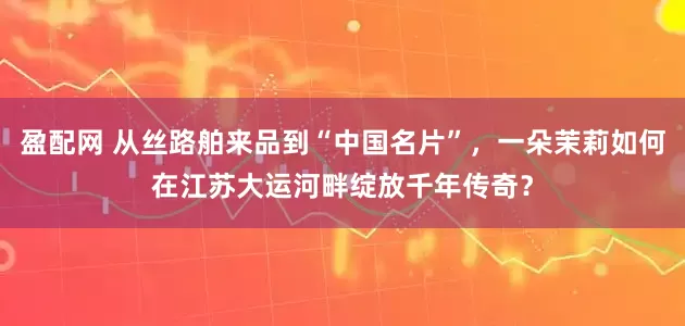 盈配网 从丝路舶来品到“中国名片”，一朵茉莉如何在江苏大运河畔绽放千年传奇？