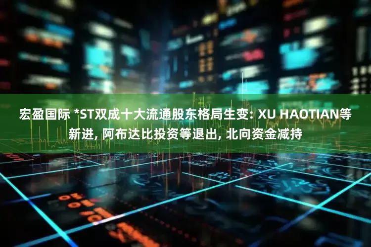 宏盈国际 *ST双成十大流通股东格局生变: XU HAOTIAN等新进, 阿布达比投资等退出, 北向资金减持