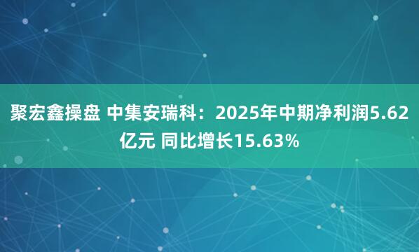 聚宏鑫操盘 中集安瑞科：2025年中期净利润5.62亿元 同比增长15.63%